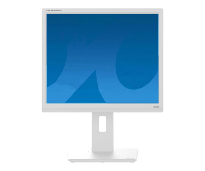 Monitor LED 21" i mniejszy iiyama ProLite B1980S-W1